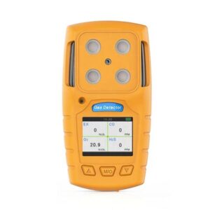 Portable Multi-Gas Detector